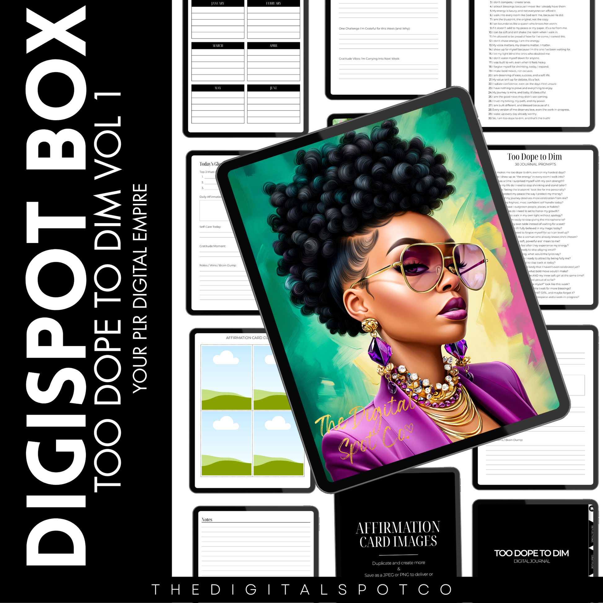 This product includes the DigiSpot Box Volume 1, PLR Journal Kit for Digital Product Sellers